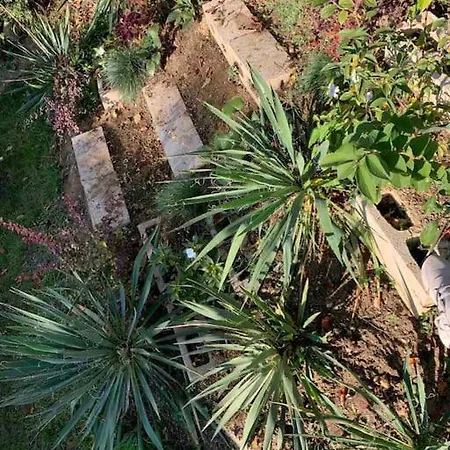 Διαμέρισμα Little House In Downtown With Garden