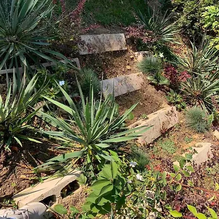 Little House In Downtown With Garden