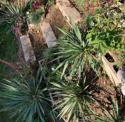 Apartment Little House In Downtown With Garden