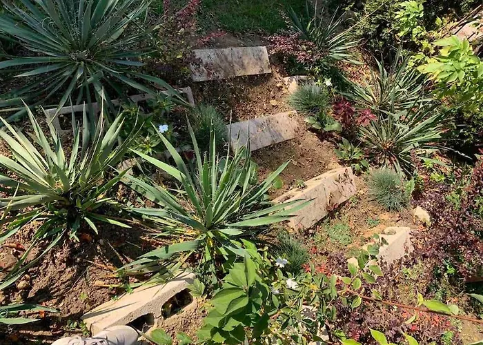 Little House In Downtown With Garden